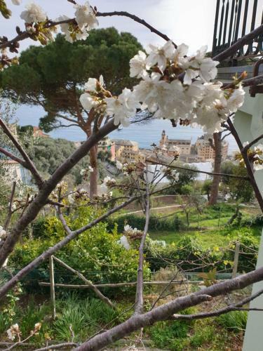 Apartamento Villa San Prospero