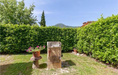 Awesome Home In Camaiore With Wifi And 3 Bedrooms