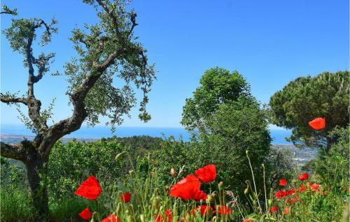 Awesome Home In Camaiore With Wifi And 3 Bedrooms