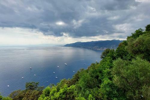 Apartamento Camogli Sweet Home