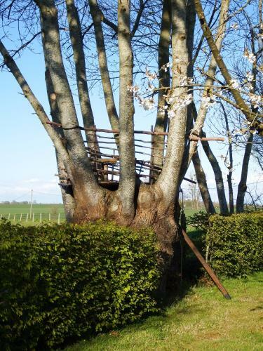 La Petite Saug�re