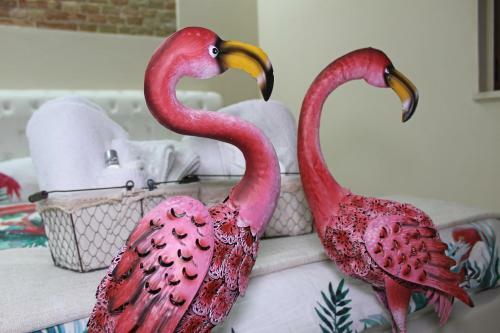 Flamingo Luxury Apartment