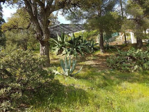 Villa Sylvia Bormes Les Mimosas