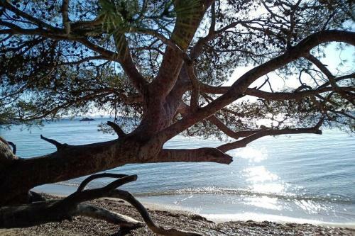 Apartamento Face Mer Entre Plage Et Marina