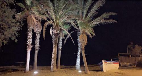 Apartamento Face Mer Entre Plage Et Marina