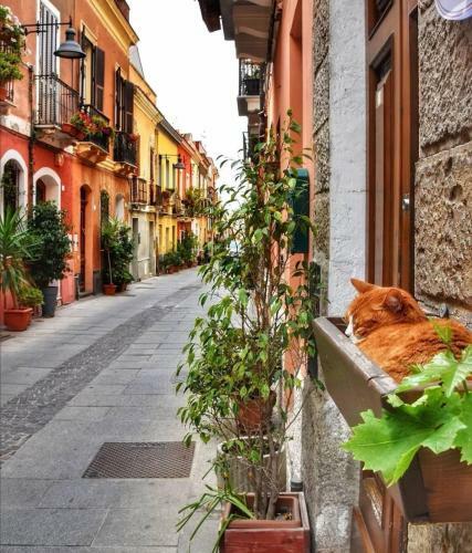 Mirt� Boutique Apartment Heart Cagliari