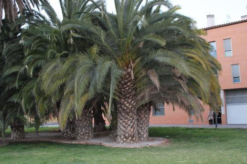 Holiday Apartments Malvarrosa Beach