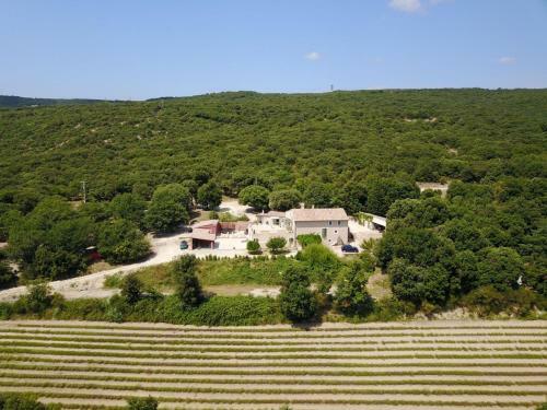 Mas Saint Antoine