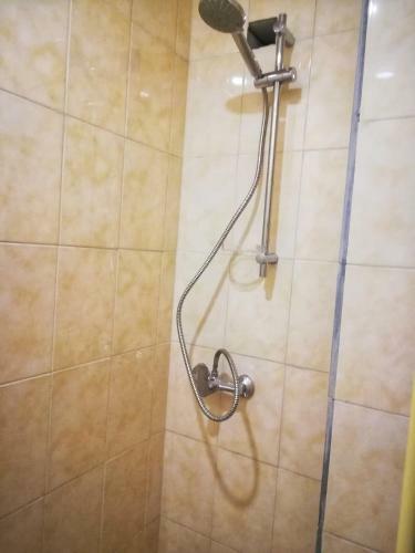 Guest House Pisnya Karpat