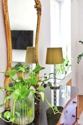 Hostal Elicriso Suites
