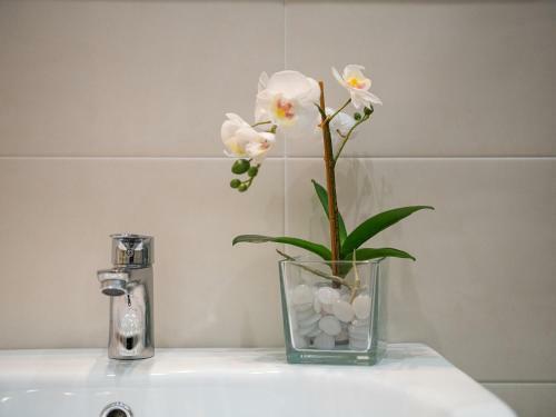 Apartamento Acquachiara Suite