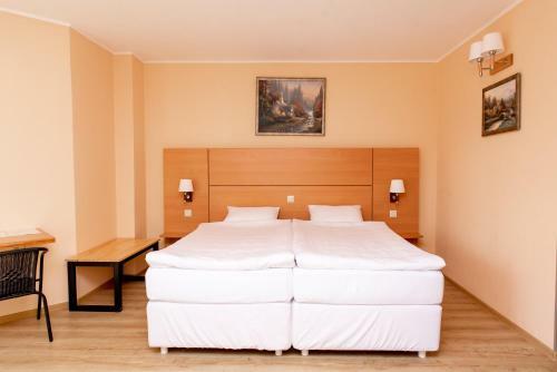 Alpen Hotel