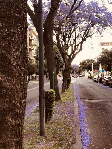 Hostal Contus R�tro Guest House