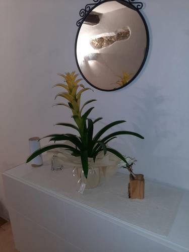 Apartamento Villanova Centro
