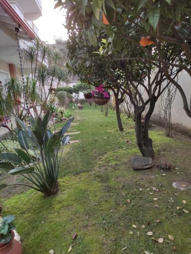 Apartamento Villino Matilde