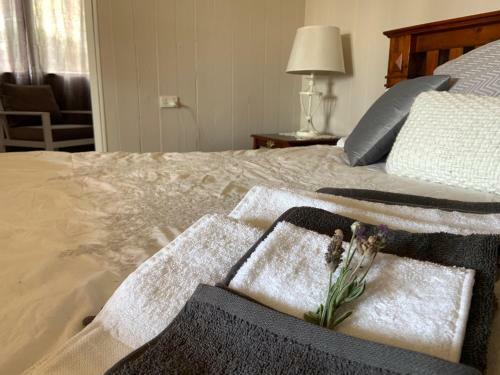 Bed & Breakfast Roma Cottage