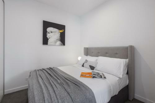 Sandy Hill Apartments By Ready Set Host