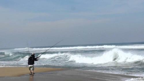 Walk To The Beach At San Remo, Pet Friendly, Wifi