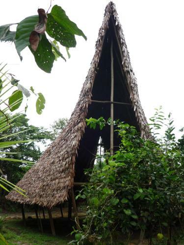 Hostal Reserva Natural Tanimboca
