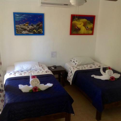 Tu Casa B&B Cozumel