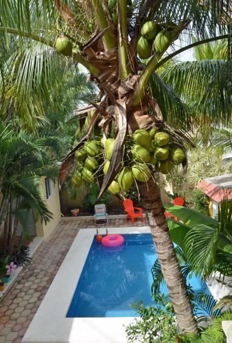 Tu Casa B&B Cozumel