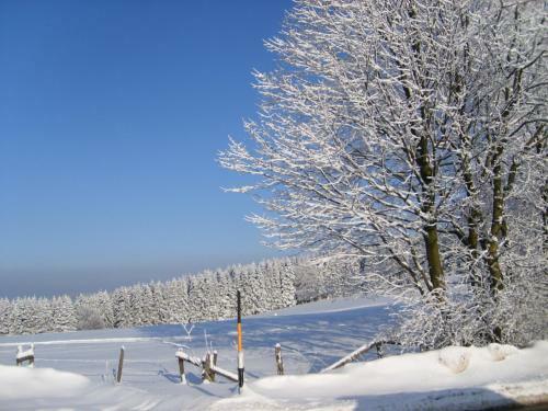 Hostal Landgasthof Zum Sorpetal