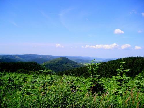Hostal Landgasthof Zum Sorpetal