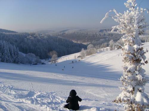 Hostal Landgasthof Zum Sorpetal