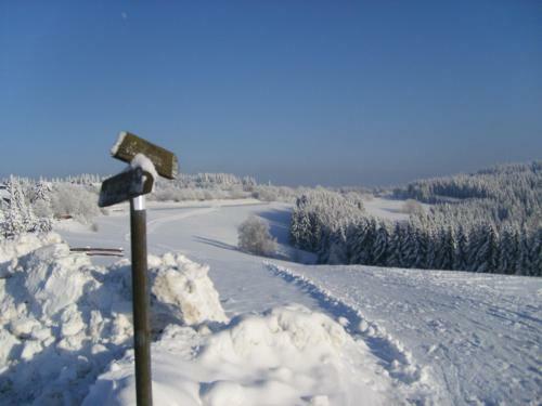 Hostal Landgasthof Zum Sorpetal
