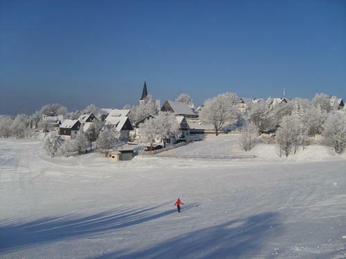 Hostal Landgasthof Zum Sorpetal