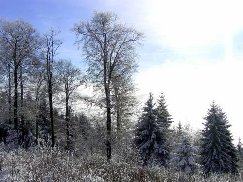 Hostal Landgasthof Zum Sorpetal
