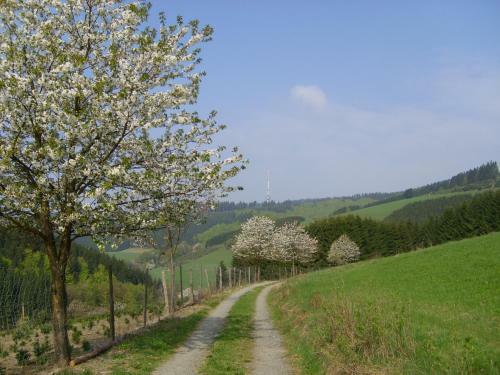 Hostal Landgasthof Zum Sorpetal