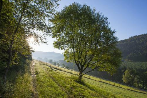 Hostal Landgasthof Zum Sorpetal