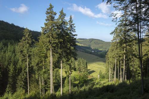 Hostal Landgasthof Zum Sorpetal