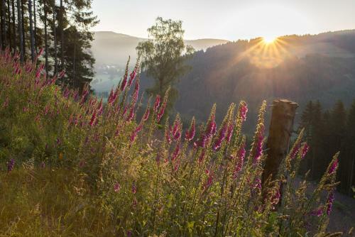 Hostal Landgasthof Zum Sorpetal