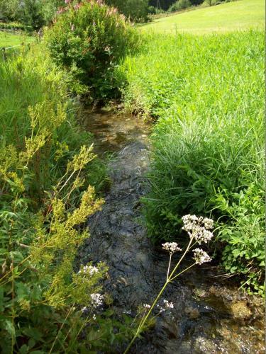 Hostal Landgasthof Zum Sorpetal