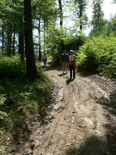 Hostal Landgasthof Zum Sorpetal