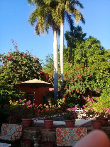 Bed & Breakfast Casa Las 7 Columnas