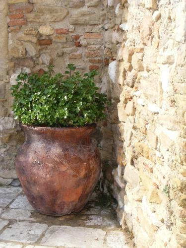 Best House Campo Di Giove