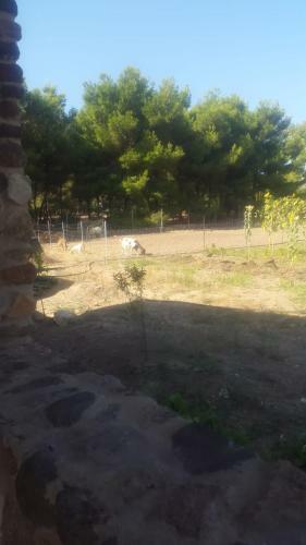 Casa In Pietra