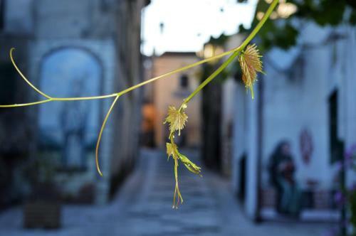 Hostal Nina E Il Mare