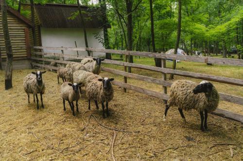 Apartamento Klymivka Farm