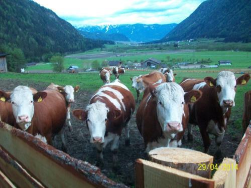 Agroturismo Luggishof