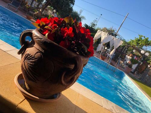 Apartamento Villa Della Pietra Viva