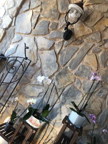Apartamento Villa Della Pietra Viva