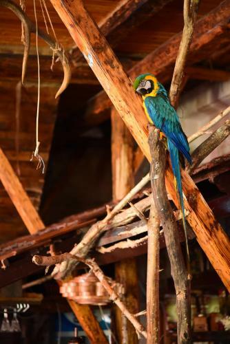 Albergue Beliy Kakadu