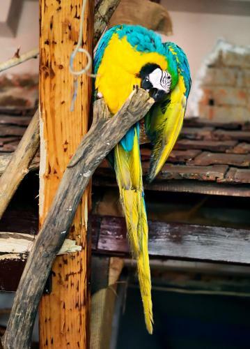 Albergue Beliy Kakadu