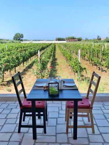 Bed & Breakfast B & B Vigna Di Filippo - Paestum