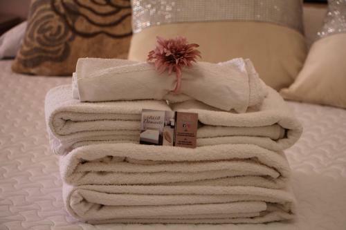 B&B Damiant�