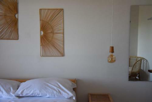 Bed & Breakfast La Ceiba Speciosa